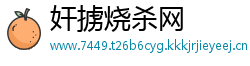 奸掳烧杀网